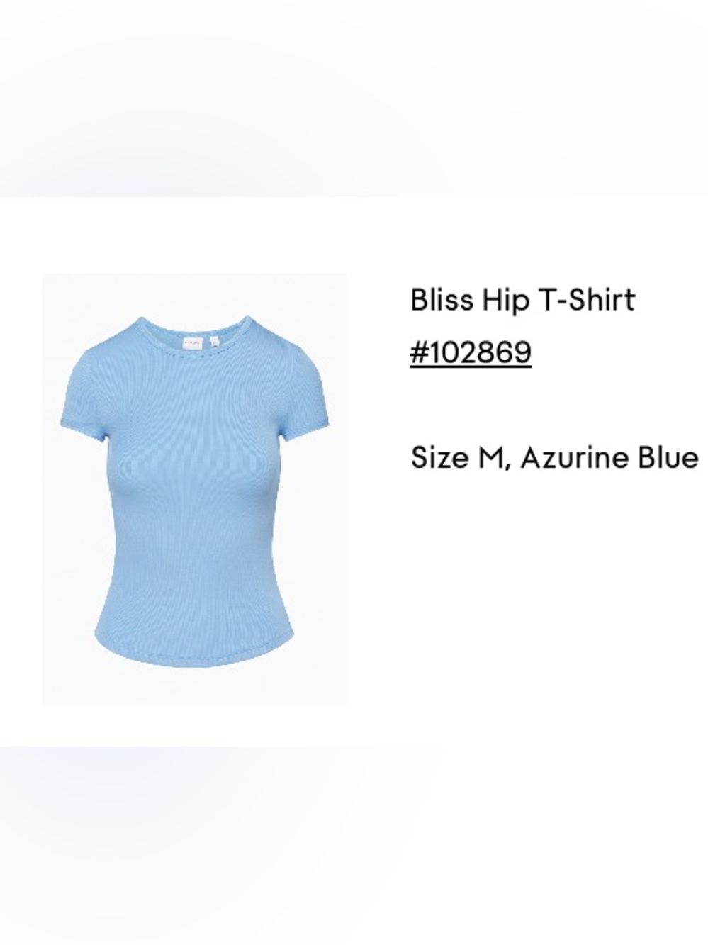 Aritzia Bliss Hip T-Shirt in Light Blue